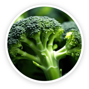 ingredient1 (3)