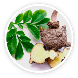 ingredient6 (3)